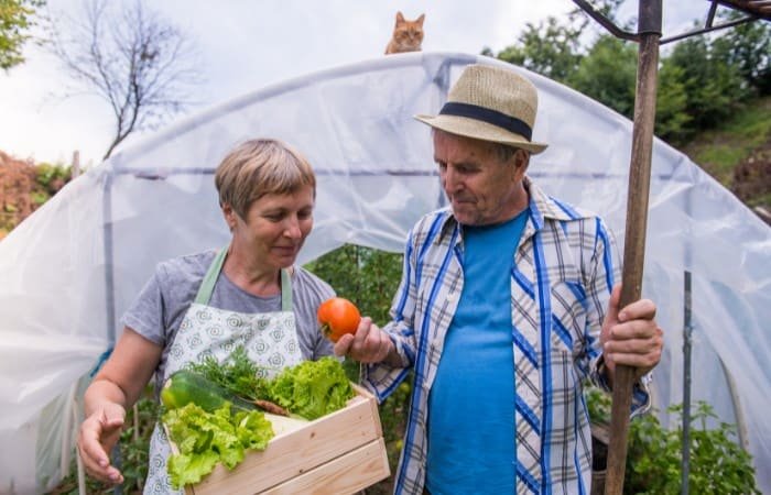 Gardening For Seniors