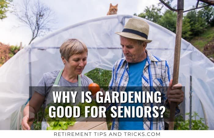 Why Is Gardening Good For Seniors